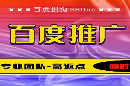 某电商平台的SEM广告投放策略及效果评估